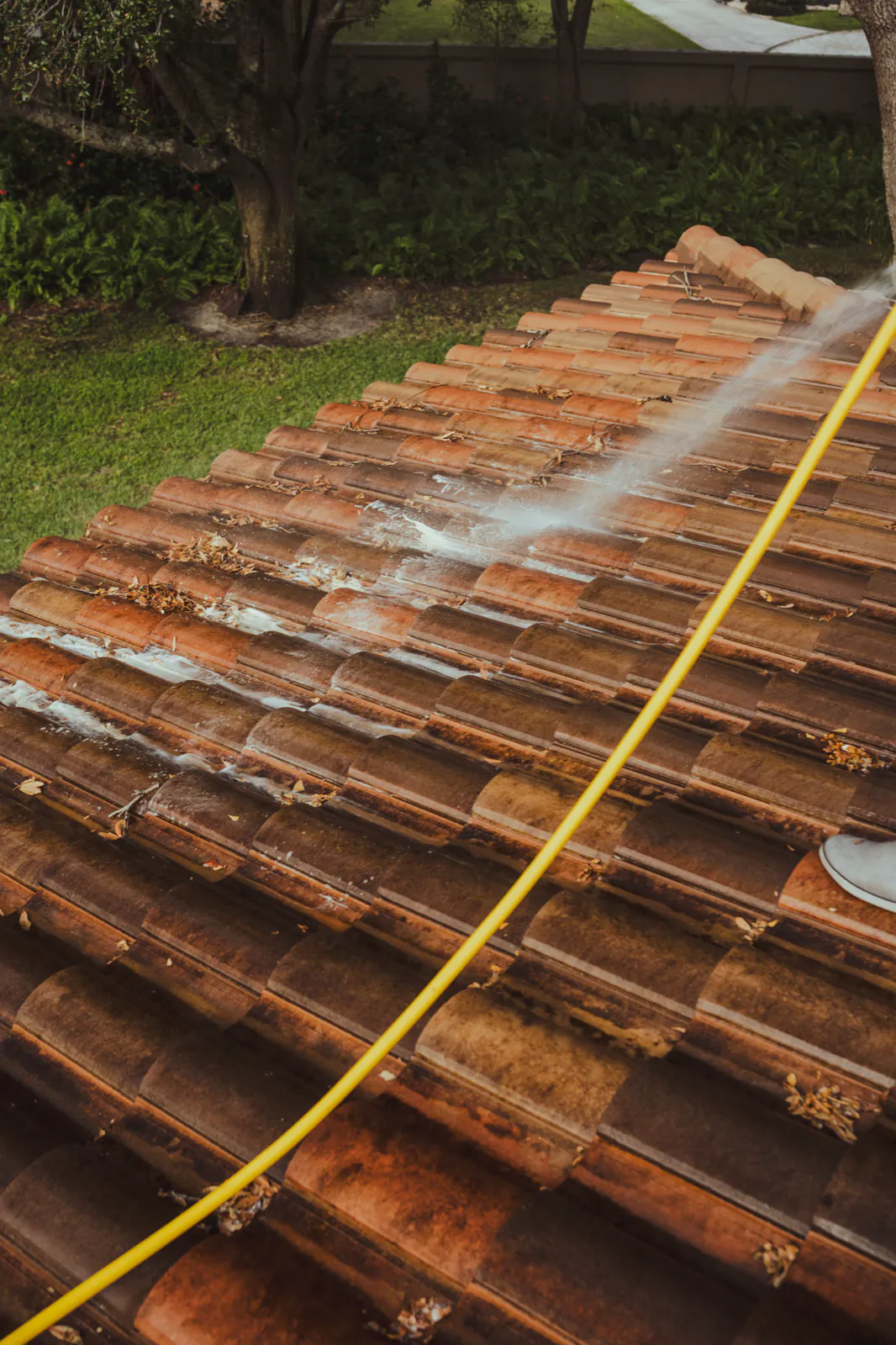 Close-up of cleaned barrel tiles after the soft wash