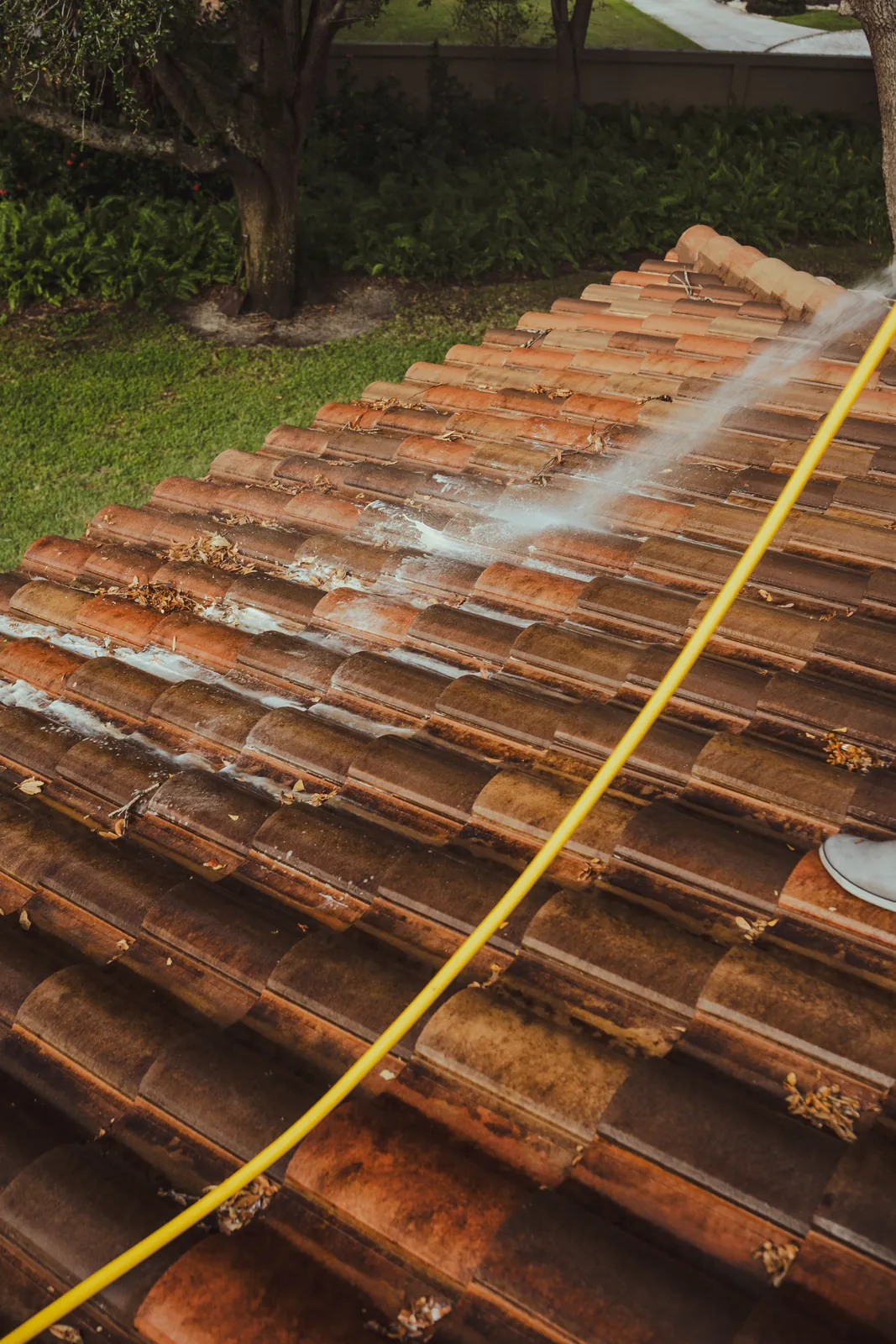 Close-up of cleaned barrel tiles after the soft wash