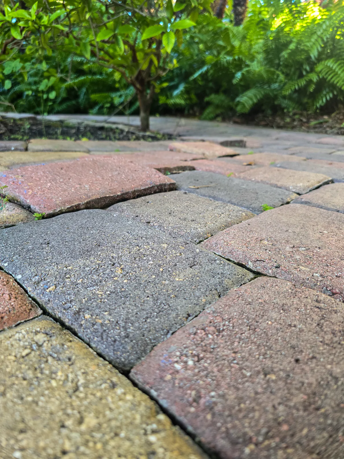 Worn paver surface before cleaning and sealing
