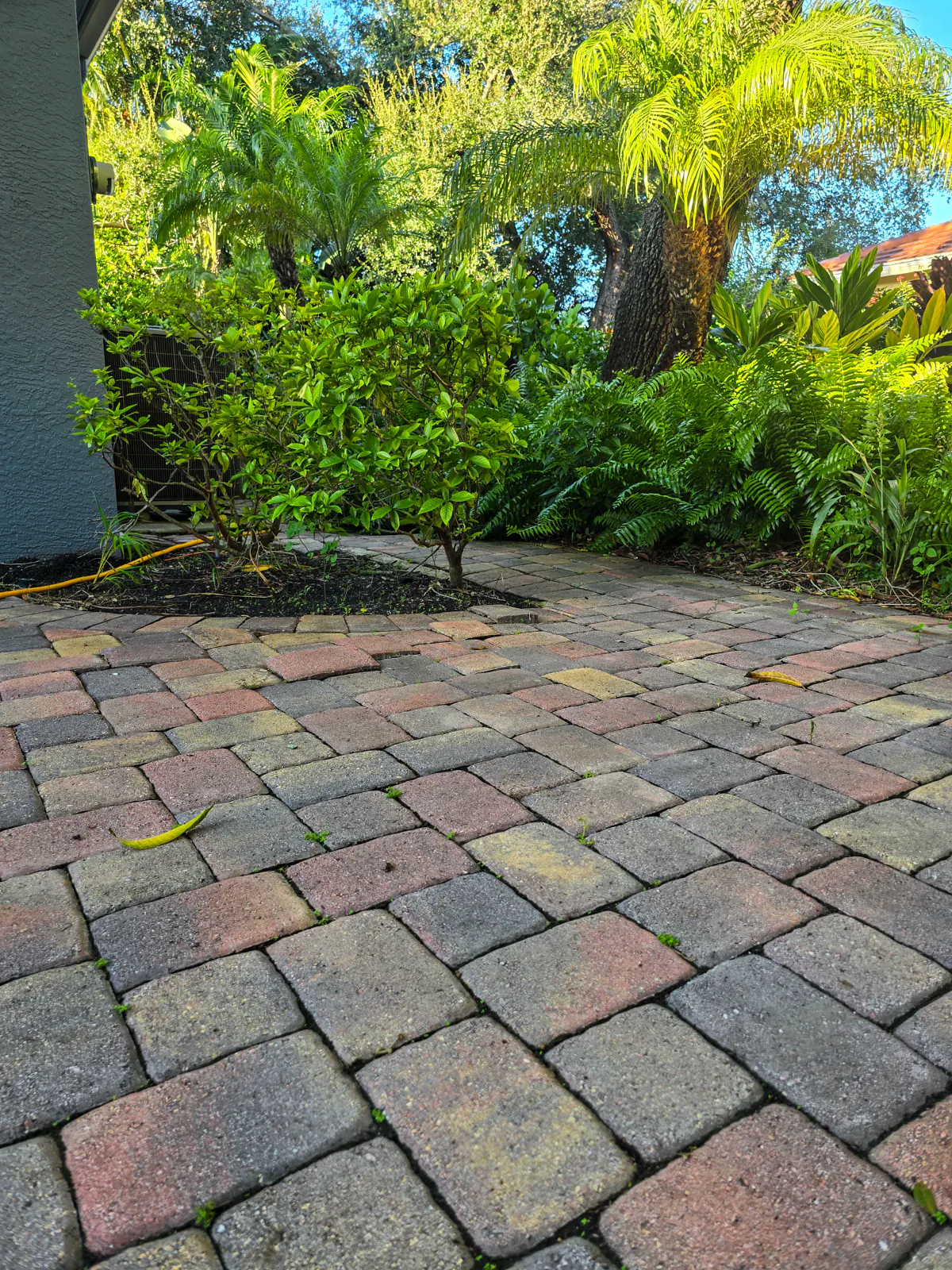 Front walkway pavers during the cleaning stage
