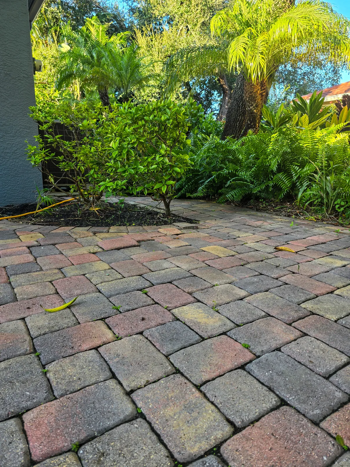 Front walkway pavers during the cleaning stage