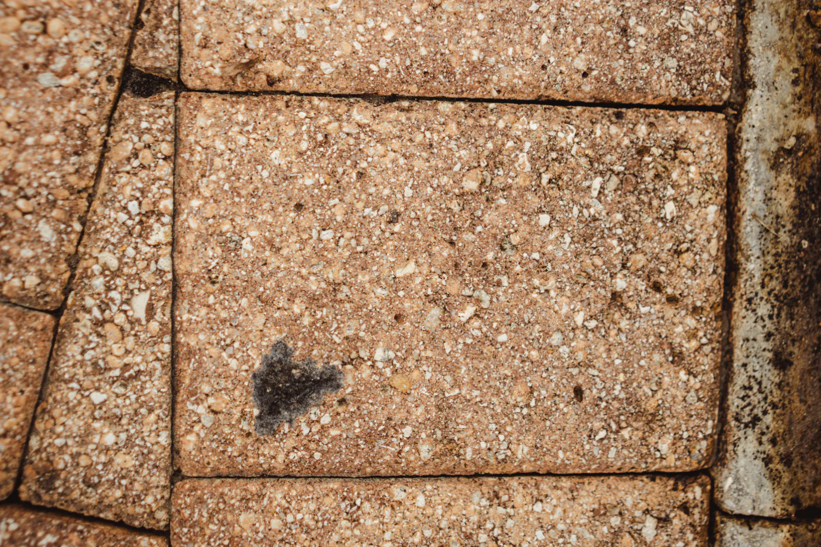 Close-up of the paver texture and joints before sealing